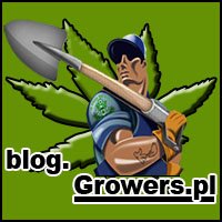 Uprawa Ogólnie – Blog.Growers.pl